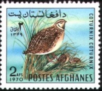 timbre caille afghanistan