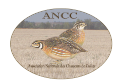 Ancc Logo